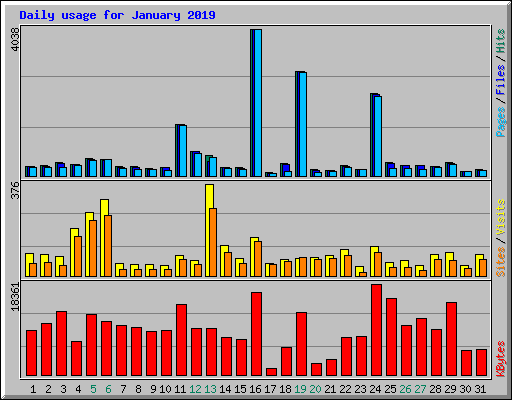 Daily usage for January 2019