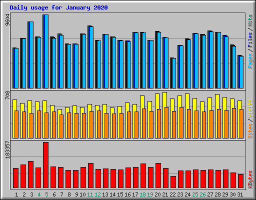 Daily usage for January 2020