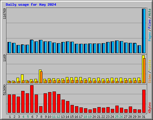 Daily usage for May 2024