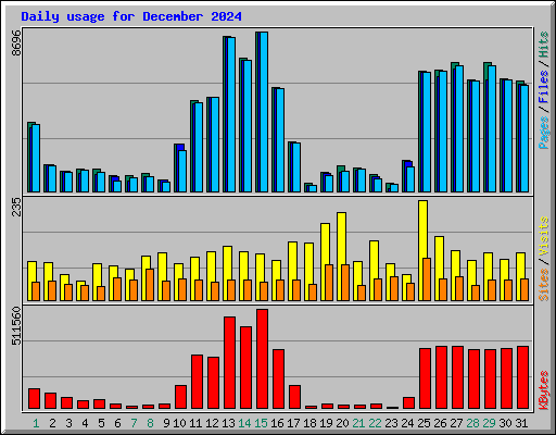 Daily usage for December 2024