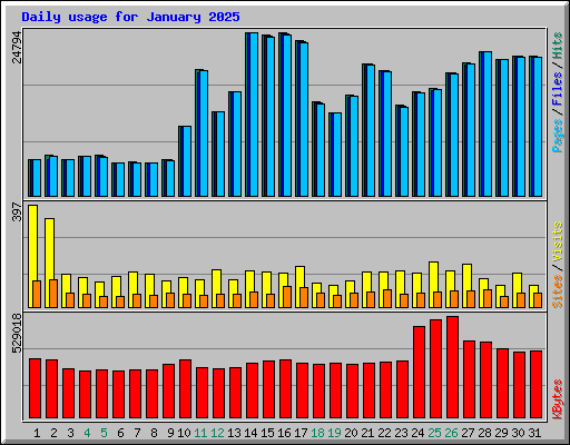 Daily usage for January 2025