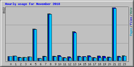 Hourly usage for November 2018