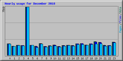 Hourly usage for December 2018