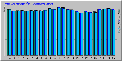 Hourly usage for January 2020