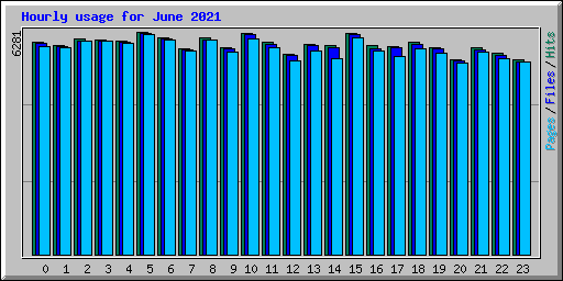 Hourly usage for June 2021