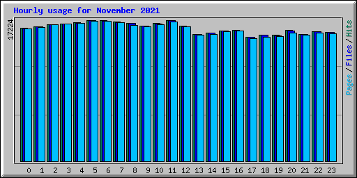 Hourly usage for November 2021