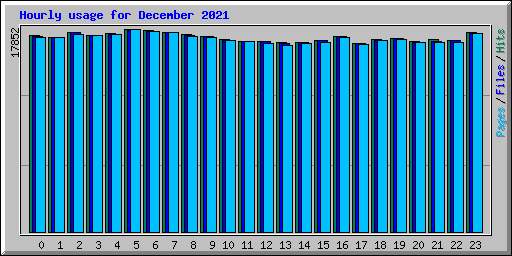 Hourly usage for December 2021