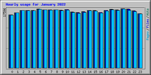 Hourly usage for January 2022