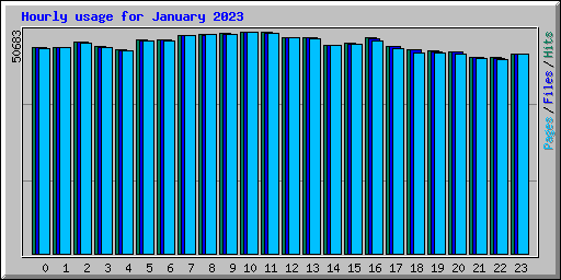 Hourly usage for January 2023