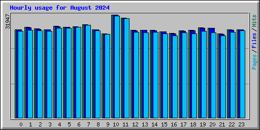 Hourly usage for August 2024