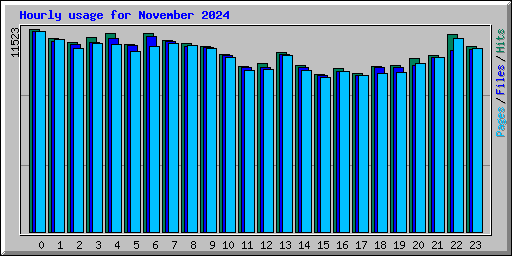 Hourly usage for November 2024