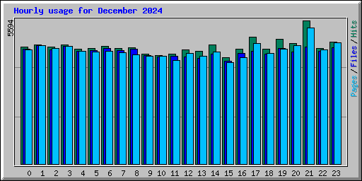 Hourly usage for December 2024