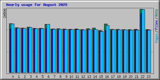 Hourly usage for August 2025