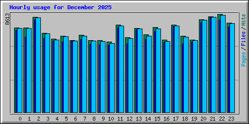 Hourly usage for December 2025