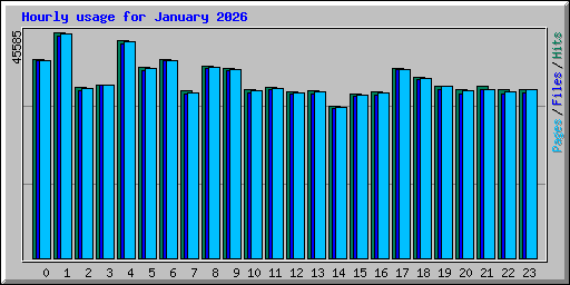 Hourly usage for January 2026