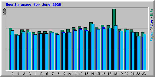 Hourly usage for June 2026