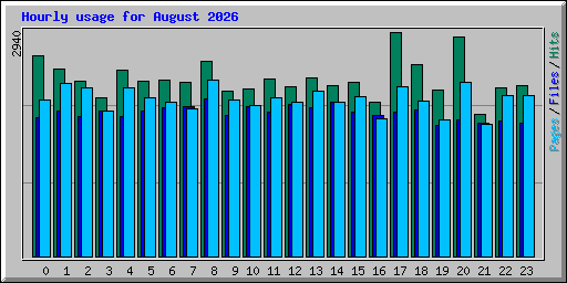 Hourly usage for August 2026
